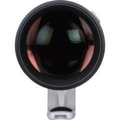 Canon EF 200-400mm f/4L IS USM Extender 1.4x Lens