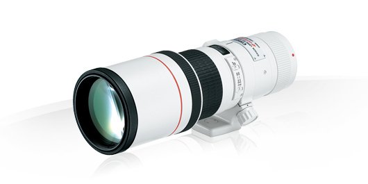 Canon EF 400mm f/5.6L USM Lens