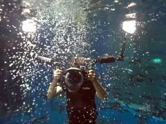 Godox WL8P Su Geçirmez LED Işık