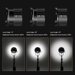 GVM F60 32cm 15-45° Fresnel Lens