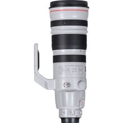 Canon EF 200-400mm f/4L IS USM Extender 1.4x Lens