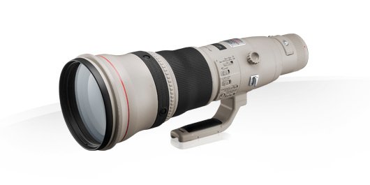Canon EF 800mm f/5.6L IS USM Lens