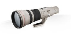 Canon EF 800mm f/5.6L IS USM Lens