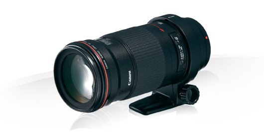 Canon EF 180mm f/3.5L Macro USM Lens