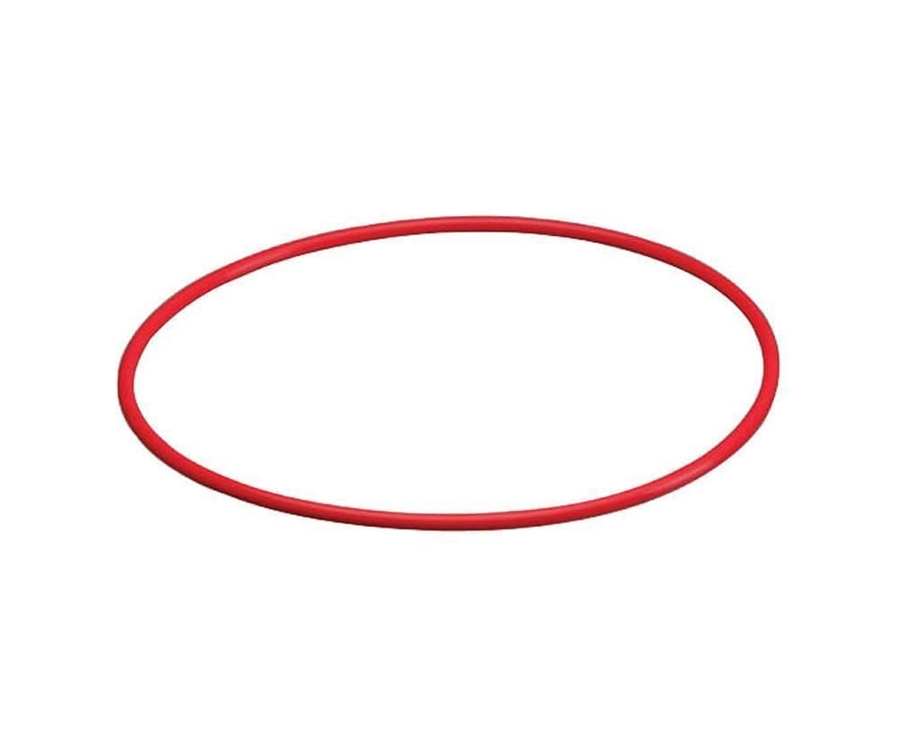 Olympus POL-058 O-Ring PT-058 için Silikon Conta