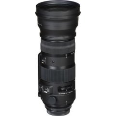 Sigma 150-600mm F5-6.3 DG OS HSM Sports Lens
