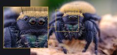 Laowa 65mm f/2.8 2x Ultra Macro APO Lens (Sony E Mount)