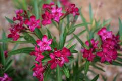 Sigma 45mm F2.8 DG DN Contemporary Lens (Sony E Mount)