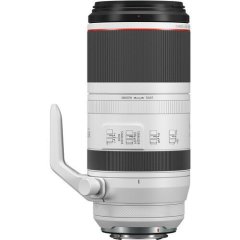 Canon RF 100-500mm f / 4.5-7.1L IS USM Lens