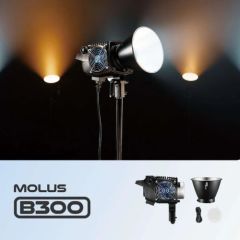 Zhiyun MOLUS B300 Bi-Color LED Monolight