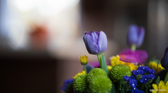 Samyang AF 85mm f/1.4 Lens (Canon RF Mount)