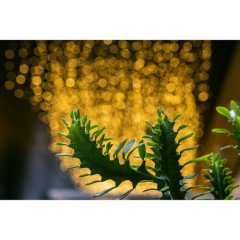 Viltrox AF 56MM F1.4 APS-C Siyah (Fuji X-Mount)