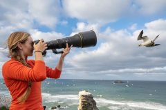 Nikon Nikkor Z  800mm f/6.3 VR S Lens