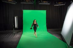 Lastolite 5881 Chromakey 3x7m Yeşil Fon Perdesi